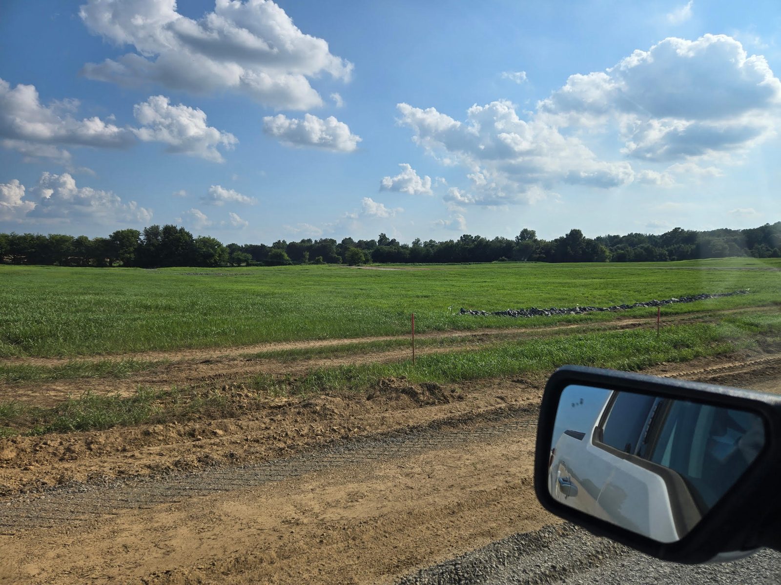 Established vegetation on a completed solar site